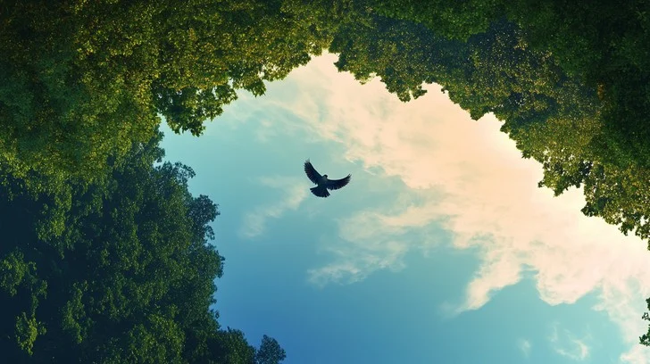 stockcake bird flying free 1281307 medium